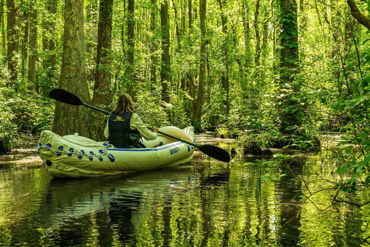 kayak trail, cypress pond, cypress swamp-5158949.jpg