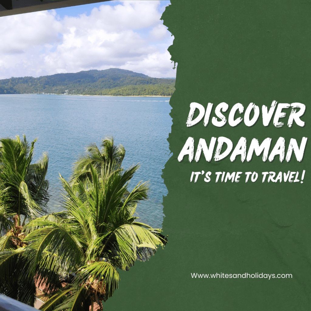 the best time to travel to andaman